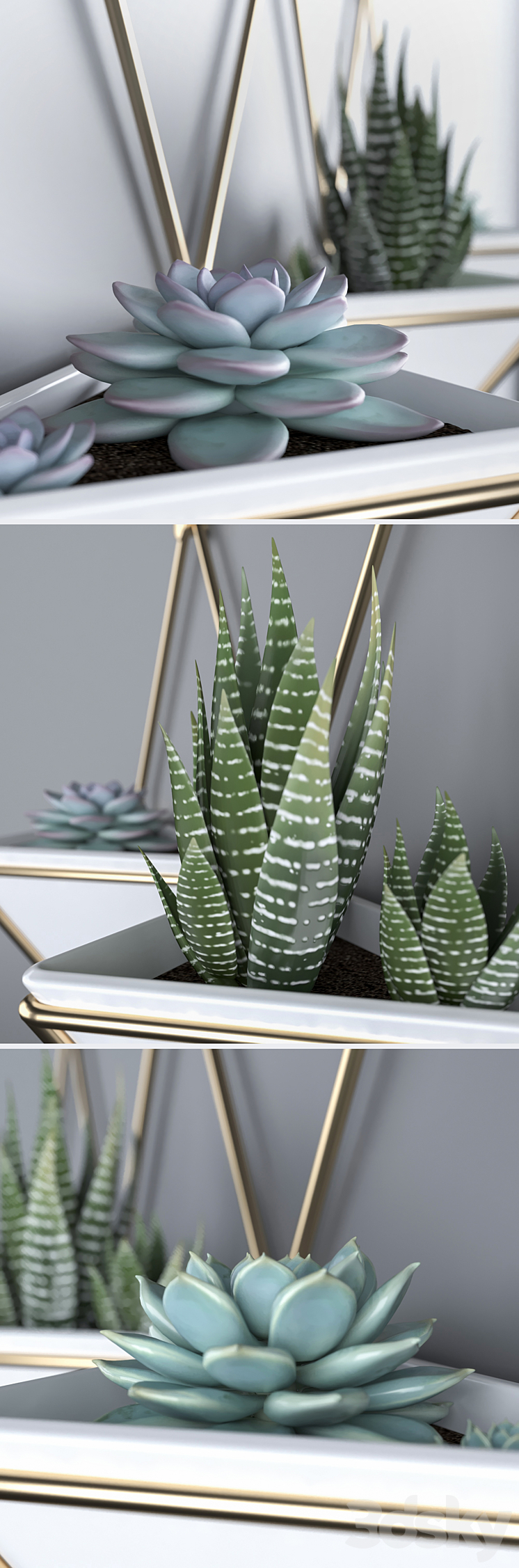 Succulents in hanging pots Umbra trigg 3DS Max - thumbnail 2