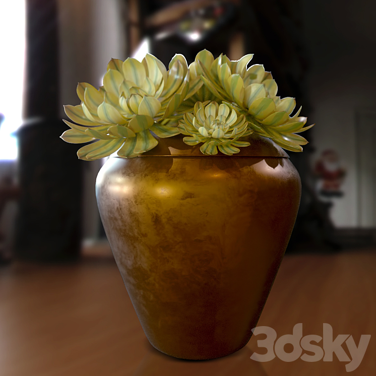 Sunburst Aeoniums 3DS Max - thumbnail 2