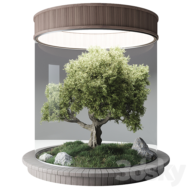 Terrarium №3 3DS Max Model - thumbnail 2