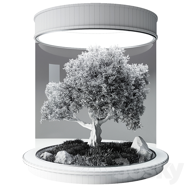 Terrarium №3 3DS Max Model - thumbnail 3