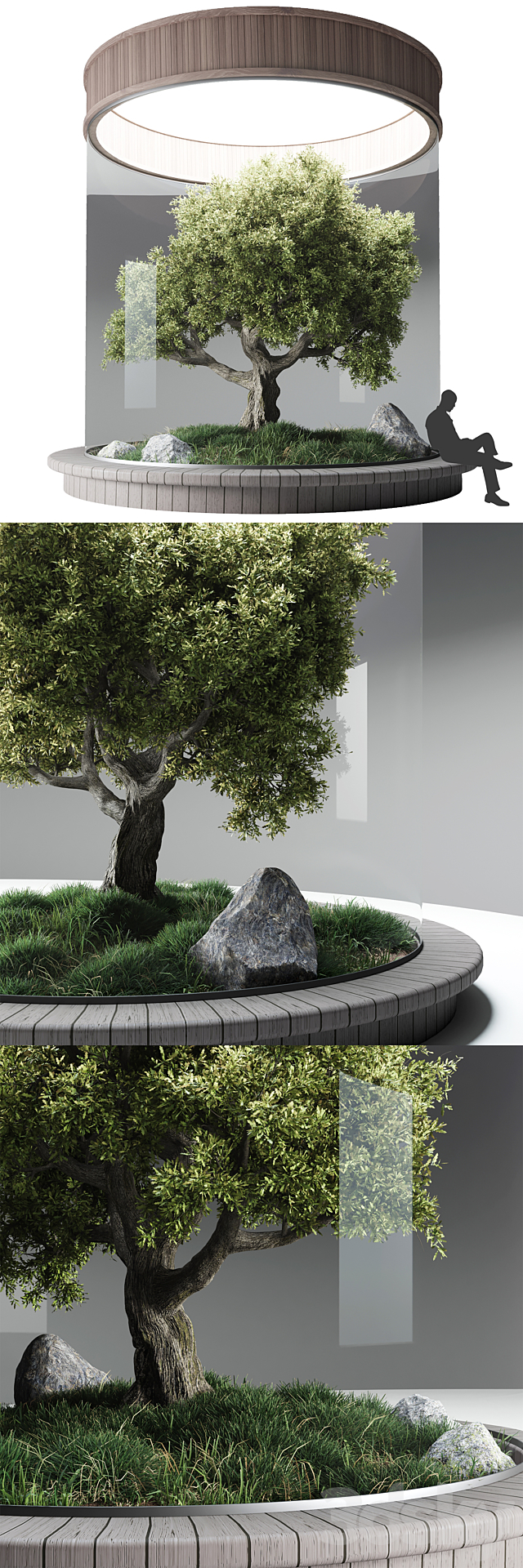 Terrarium №3 3DS Max Model - thumbnail 4