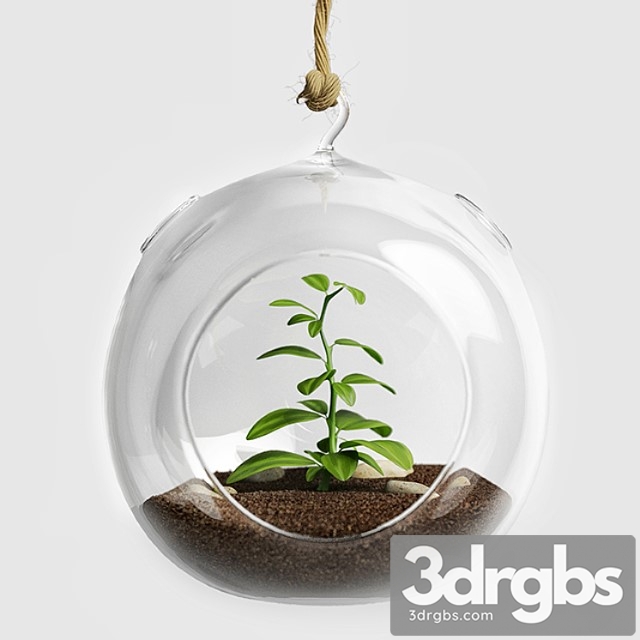 Terrarium for herbs - thumbnail 1