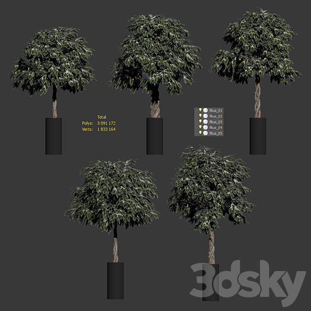 The ficus is large. 5 models 3ds Max - thumbnail 3