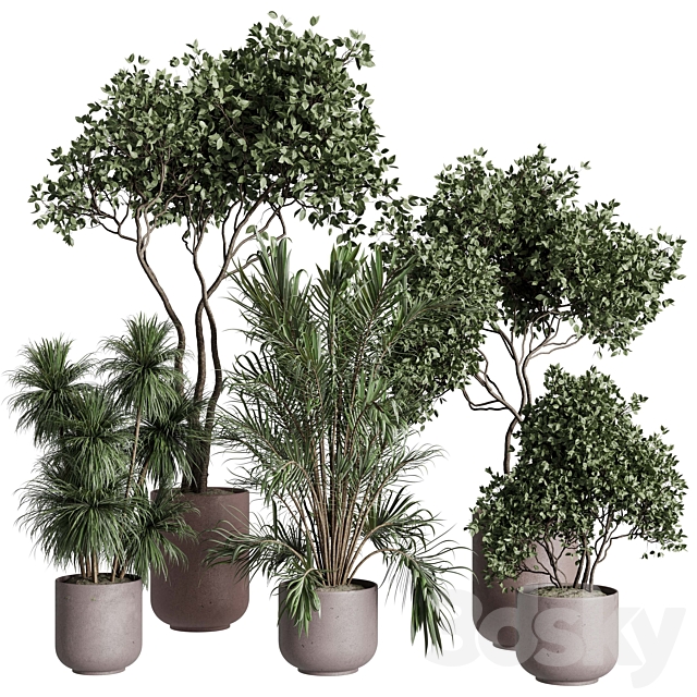 Tree in a concrete pot – indoor plant 569 3ds Max - thumbnail 1