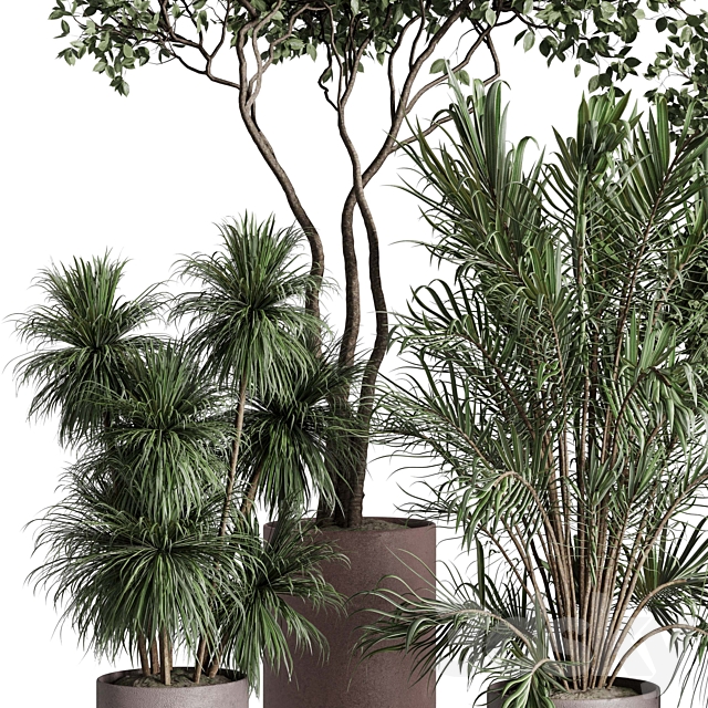 Tree in a concrete pot – indoor plant 569 3ds Max - thumbnail 3