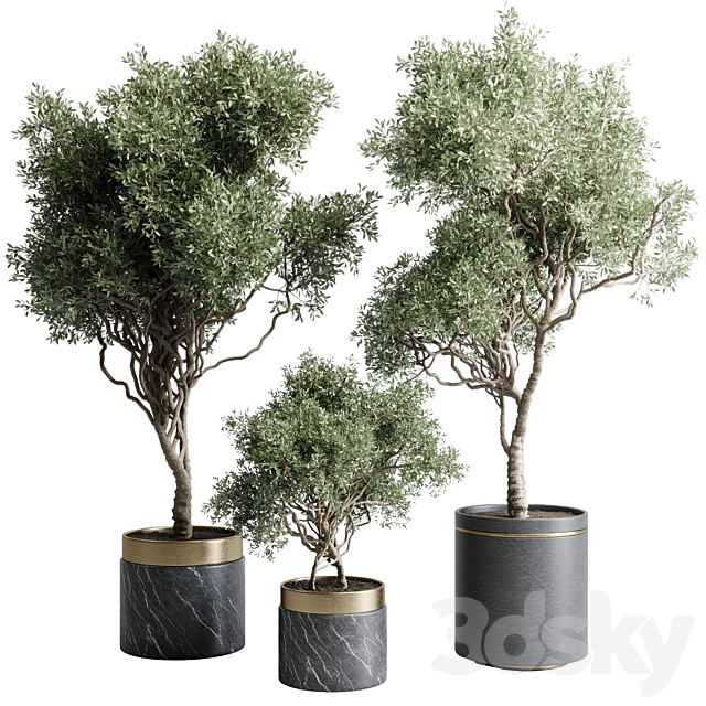 Tree in a marble pot – indoor plant 565 3ds Max - thumbnail 1