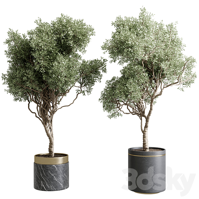 Tree in a marble pot – indoor plant 565 3ds Max - thumbnail 3