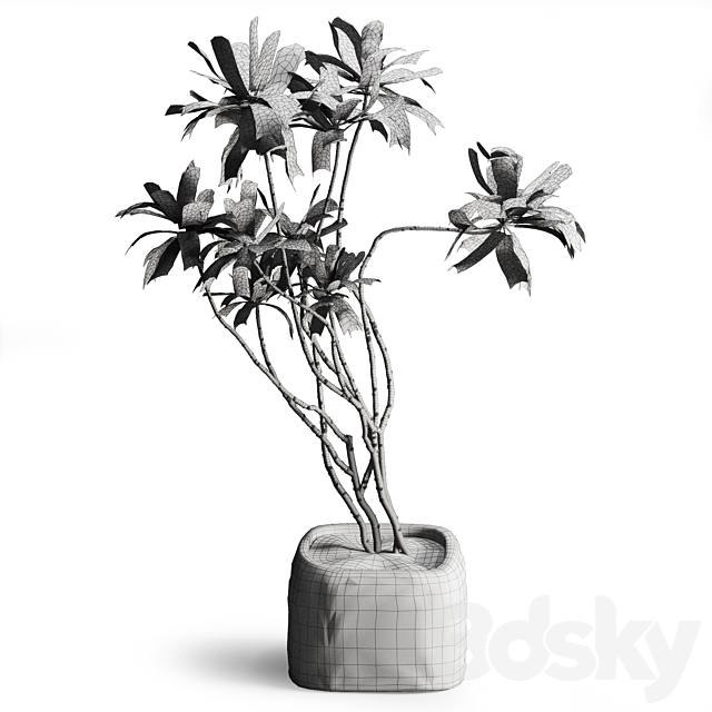 Tree in stone Planter 3DS Max Model - thumbnail 4