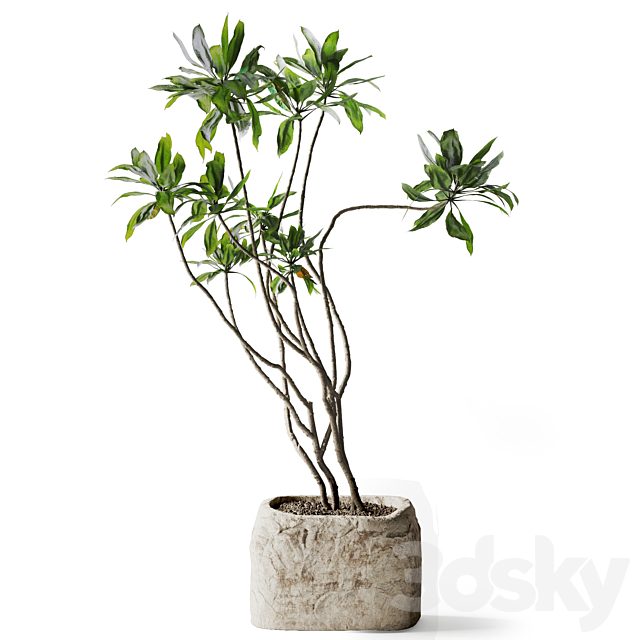 Tree in stone Planter 3DS Max Model - thumbnail 5