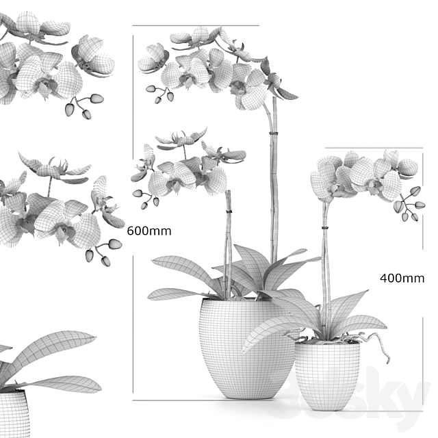 treez plants set 28 3DS Max Model - thumbnail 4