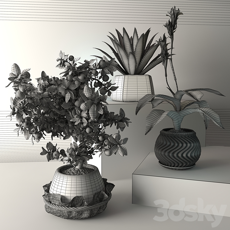 Tropical plants 3DS Max - thumbnail 2