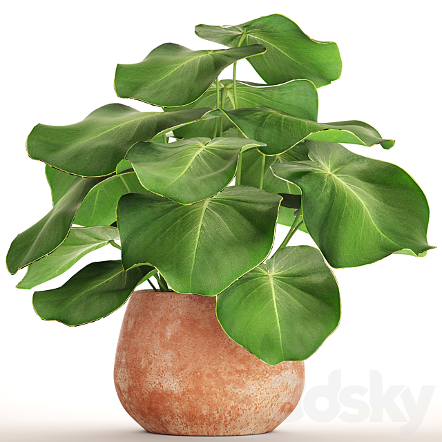 Tropical potted plant. flower. flowerpot. small plant. clinker. clay 3DSMax File - thumbnail 1
