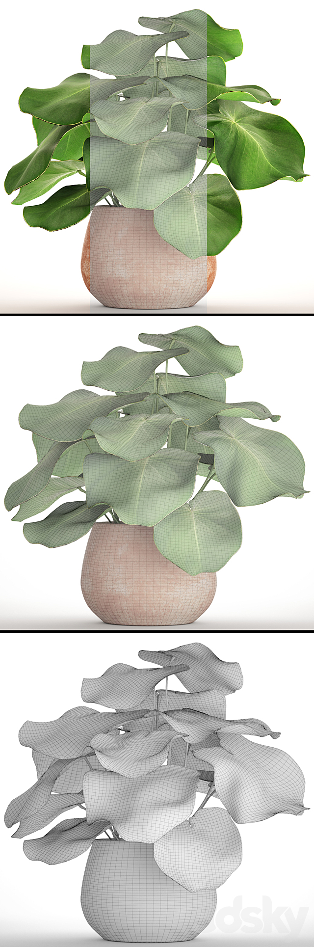Tropical potted plant. flower. flowerpot. small plant. clinker. clay 3DSMax File - thumbnail 3