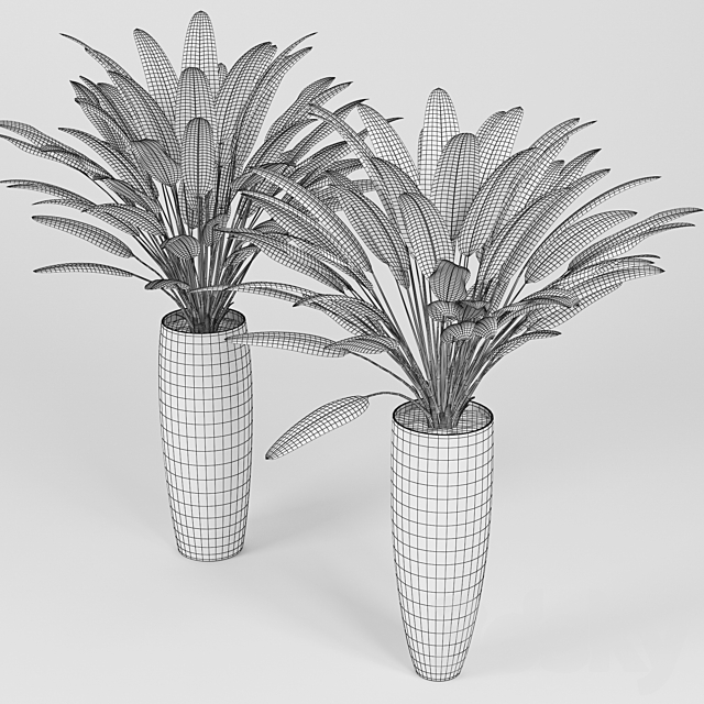 Tropical_3 3DSMax File - thumbnail 2