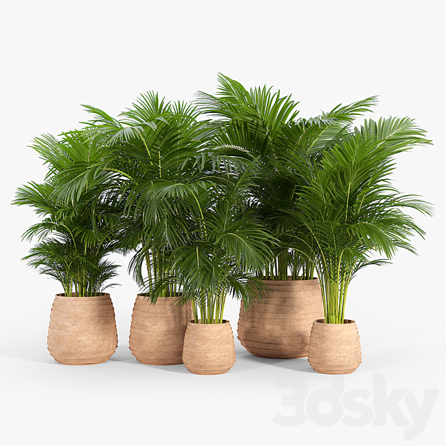 Tula Planter Collection 3ds Max - thumbnail 1