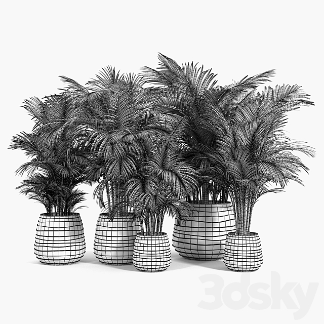 Tula Planter Collection 3ds Max - thumbnail 3