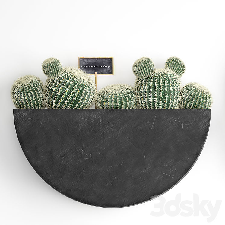 Vertical gardening. 55 Cactus  Prickly Pear Cereus Black Metal Shelf Loft Barrel cactus Flower Shelf Prickly pear 3DS Max - thumbnail 2