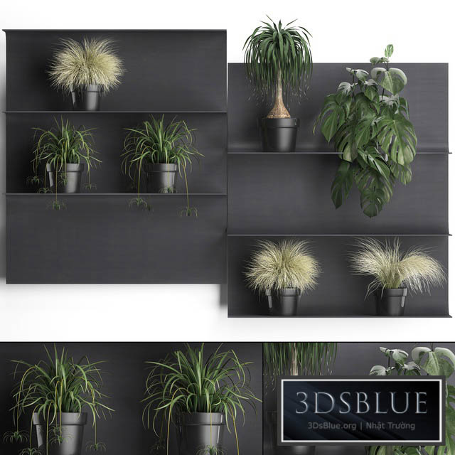 Vertical gardening. fifty Black metal shelf shelf with flowers loft monstera grass Chlorophytum dracaena 3DS Max - thumbnail 3