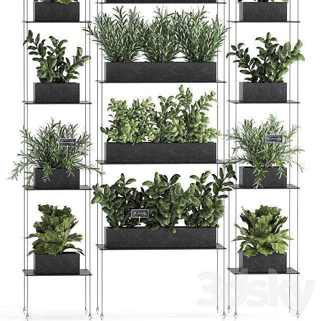 Vertical gardening home garden kitchen garden shelf suspension with plants phytosten phytomodule. Set 63. 3DS Max Model - thumbnail 2