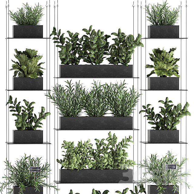 Vertical gardening home garden kitchen garden shelf suspension with plants phytosten phytomodule. Set 63. 3DS Max Model - thumbnail 3