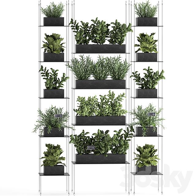 Vertical gardening home garden kitchen garden shelf suspension with plants phytosten phytomodule. Set 63. 3DS Max Model - thumbnail 4