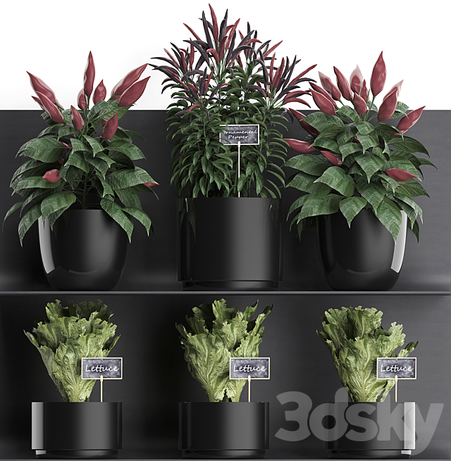 Vertical gardening kitchen garden vegetable garden on a metal shelf with vegetables pepper rosemary herbs loft phytostena. Set. 51 3ds Max - thumbnail 2