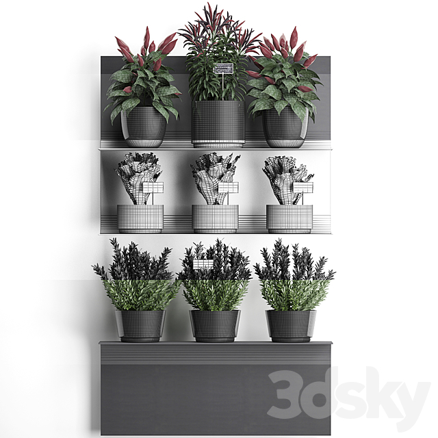 Vertical gardening kitchen garden vegetable garden on a metal shelf with vegetables pepper rosemary herbs loft phytostena. Set. 51 3ds Max - thumbnail 3