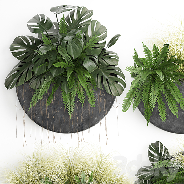 Vertical landscaping for the wall with a black metal shelf with flowers garden fern monstera grass. Set 57 3DS Max Model - thumbnail 2