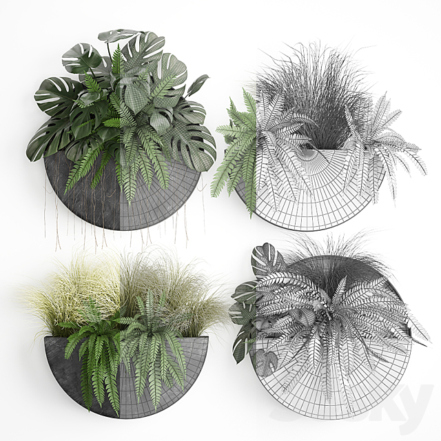 Vertical landscaping for the wall with a black metal shelf with flowers garden fern monstera grass. Set 57 3DS Max Model - thumbnail 3