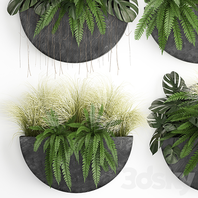 Vertical landscaping for the wall with a black metal shelf with flowers garden fern monstera grass. Set 57 3DS Max Model - thumbnail 5