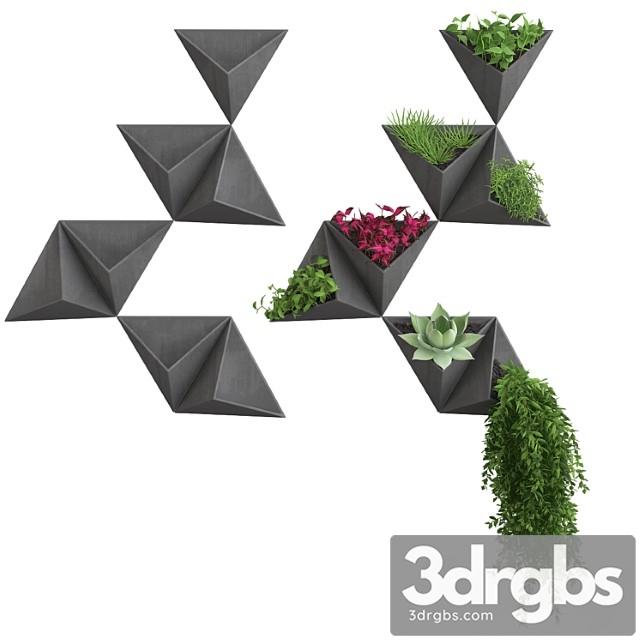 Wall flowers - thumbnail 1