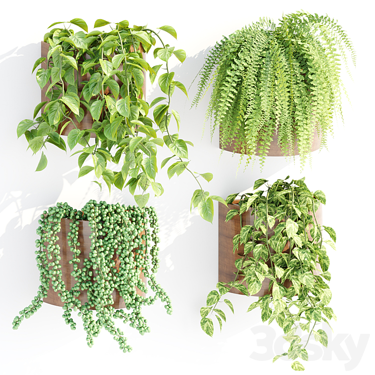 Wall hanging plants collection vol 206 3DS Max Model - thumbnail 1