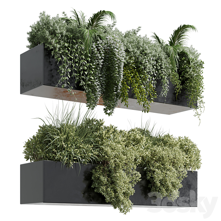 wall plant – hanging plants collection Indoor plant 219 3DS Max Model - thumbnail 1