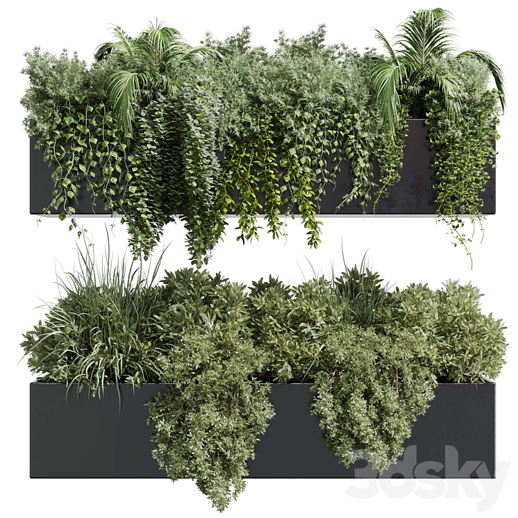 wall plant – hanging plants collection Indoor plant 219 3DS Max Model - thumbnail 2