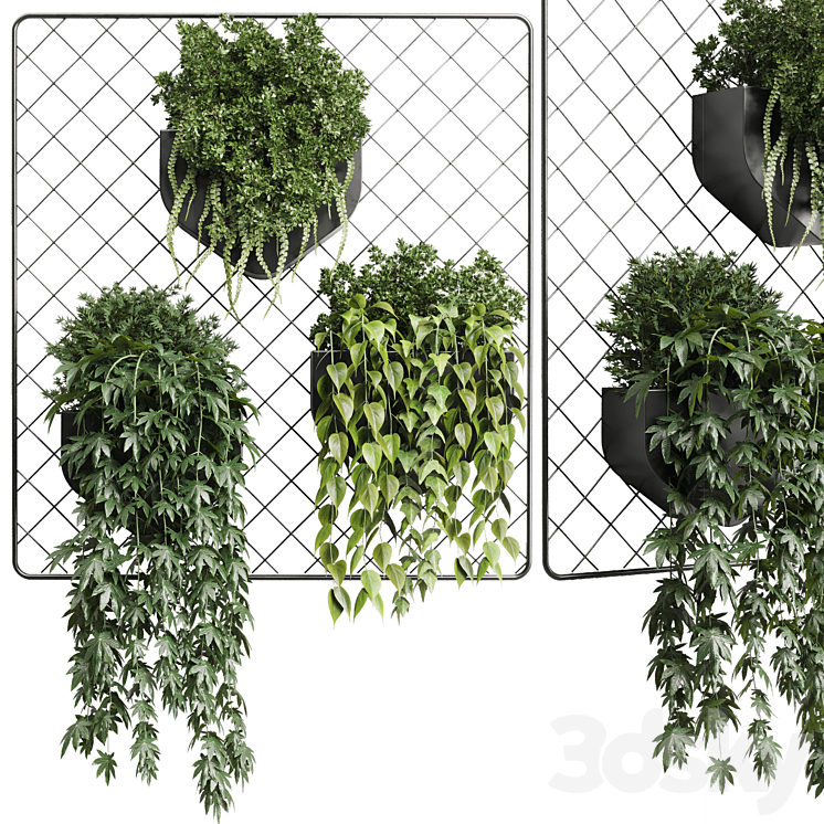 wall plant – hanging plants collection Indoor plant 293 metal dirt vase 3DS Max Model - thumbnail 3