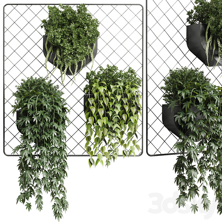 wall plant – hanging plants collection Indoor plant 293 metal dirt vase 3DS Max - thumbnail 1