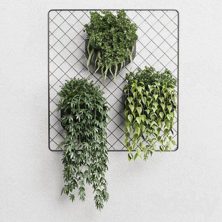 wall plant – hanging plants collection Indoor plant 293 metal dirt vase 3DS Max - thumbnail 2