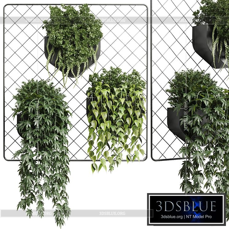 wall plant – hanging plants collection Indoor plant 293 metal dirt vase 3DS Max - thumbnail 3