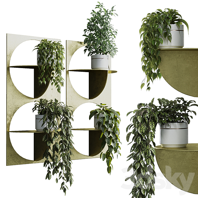 wall plant – set Indoor plant 365 plants in on a shelf 3ds Max - thumbnail 1