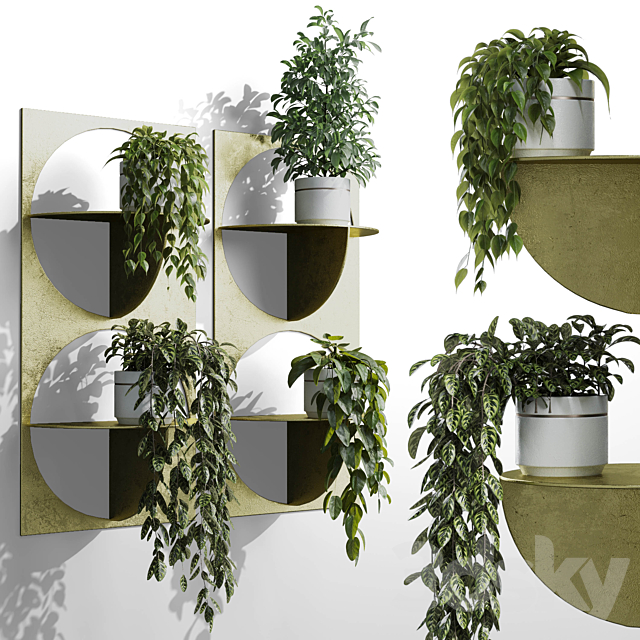 wall plant – set Indoor plant 365 plants in on a shelf 3ds Max - thumbnail 2