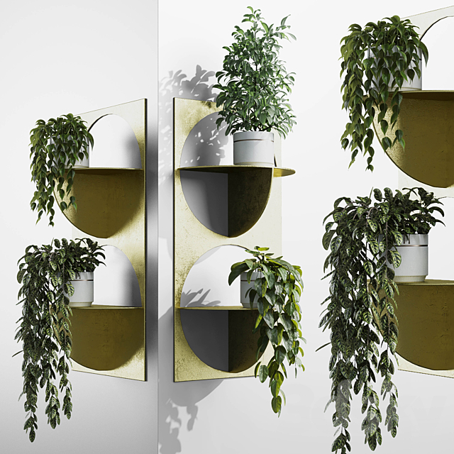 wall plant – set Indoor plant 365 plants in on a shelf 3ds Max - thumbnail 3