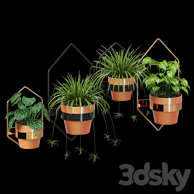 Wall planters hexagon 3DSMax File - thumbnail 1