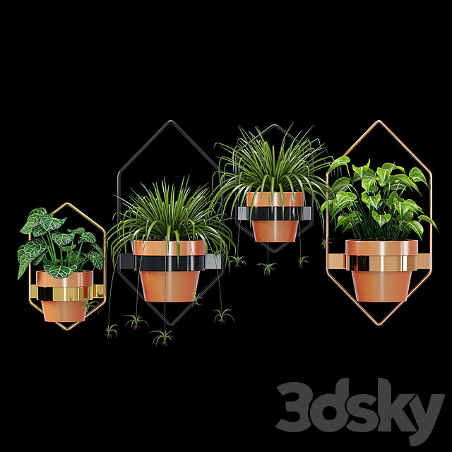 Wall planters hexagon 3DSMax File - thumbnail 2