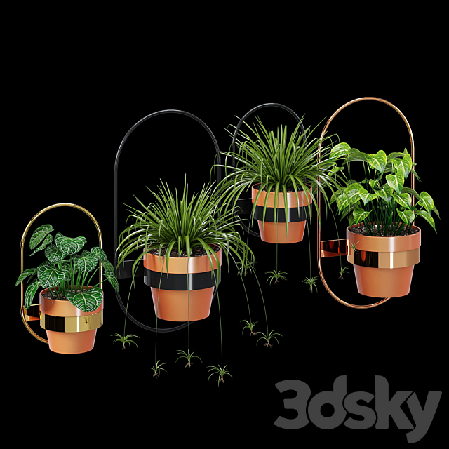 Wall planters oval 3ds Max - thumbnail 1