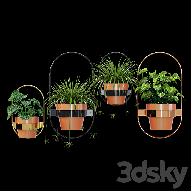 Wall planters oval 3ds Max - thumbnail 2