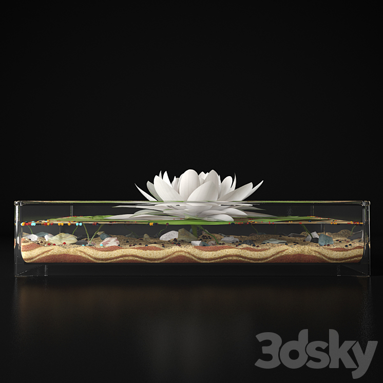 Water lily 3DS Max - thumbnail 2