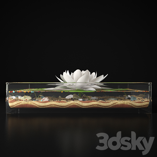 Water lily 3DSMax File - thumbnail 2