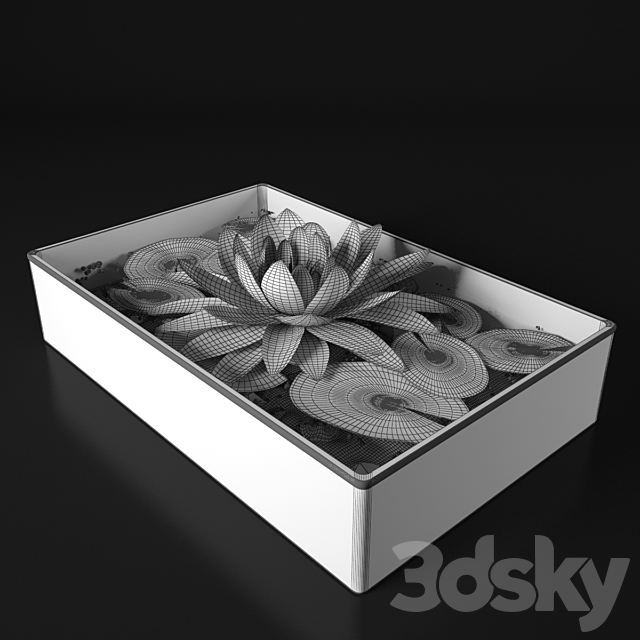 Water lily 3DSMax File - thumbnail 3