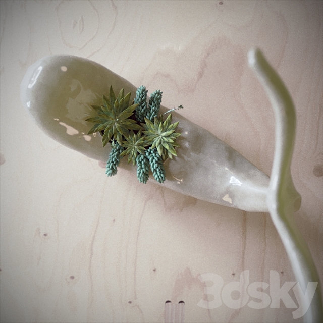 Whale succulent 3DSMax File - thumbnail 3