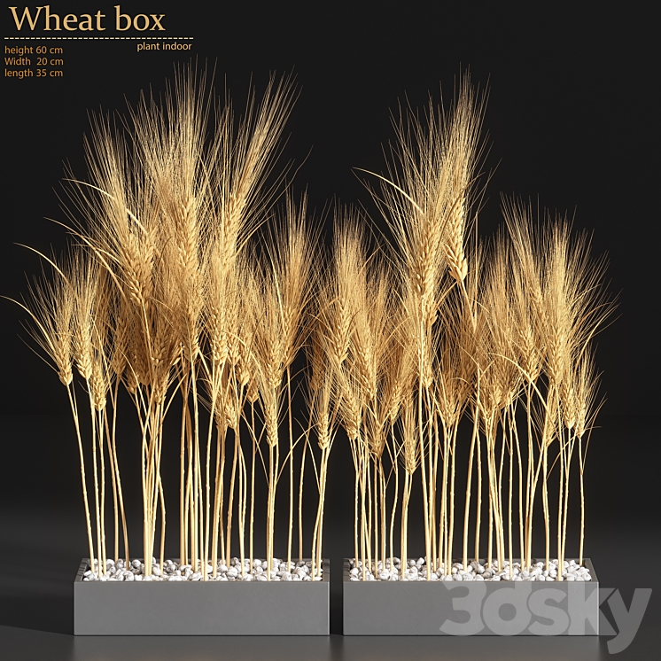 Wheat Box 3DS Max - thumbnail 1